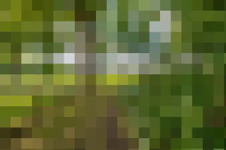 Lageweg 16 Zuidlaren thumbnail 40