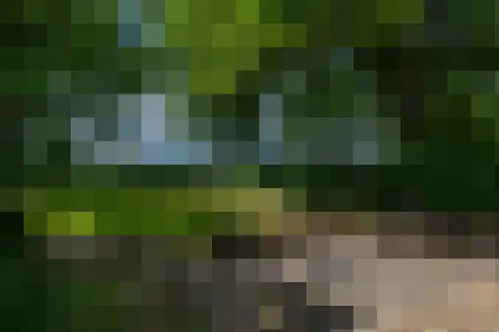 Lageweg 16 Zuidlaren thumbnail 41