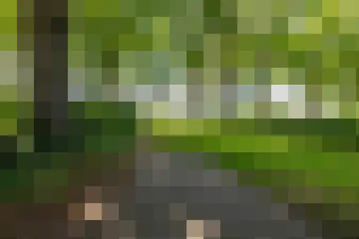 Lageweg 16 Zuidlaren thumbnail 42