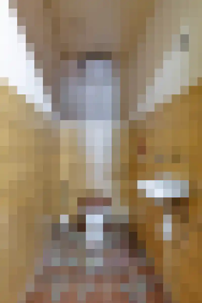 Lageweg 2 Den Ham thumbnail 16