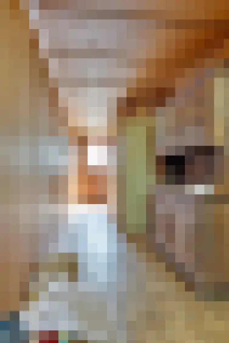 Lageweg 2 Den Ham thumbnail 17