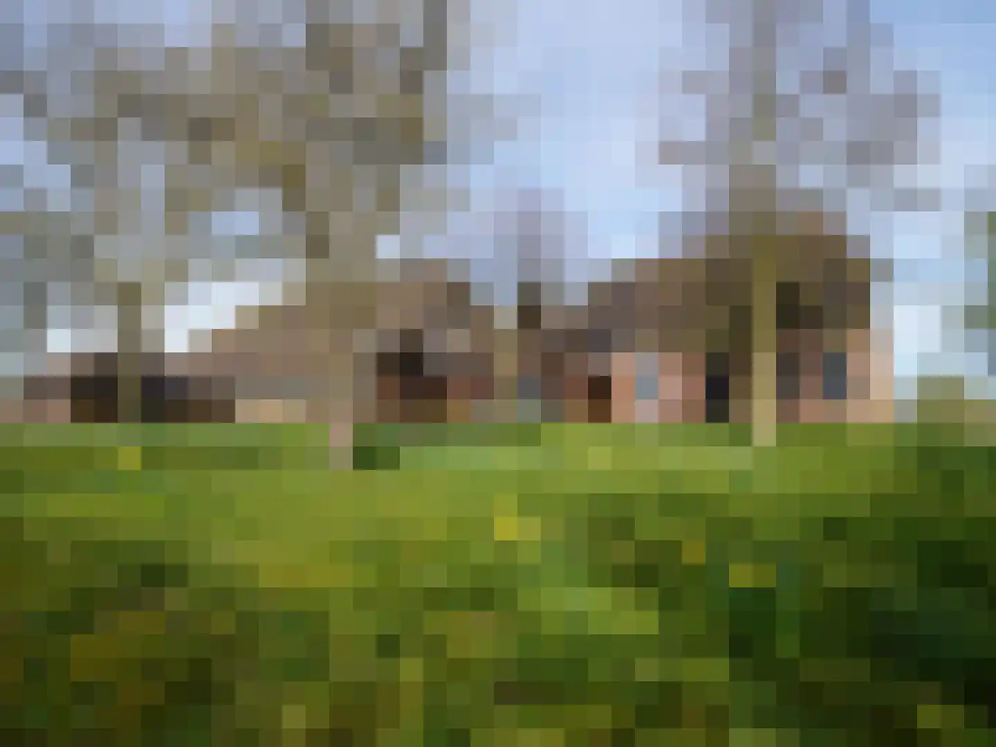 Lageweg 2 Den Ham thumbnail 5