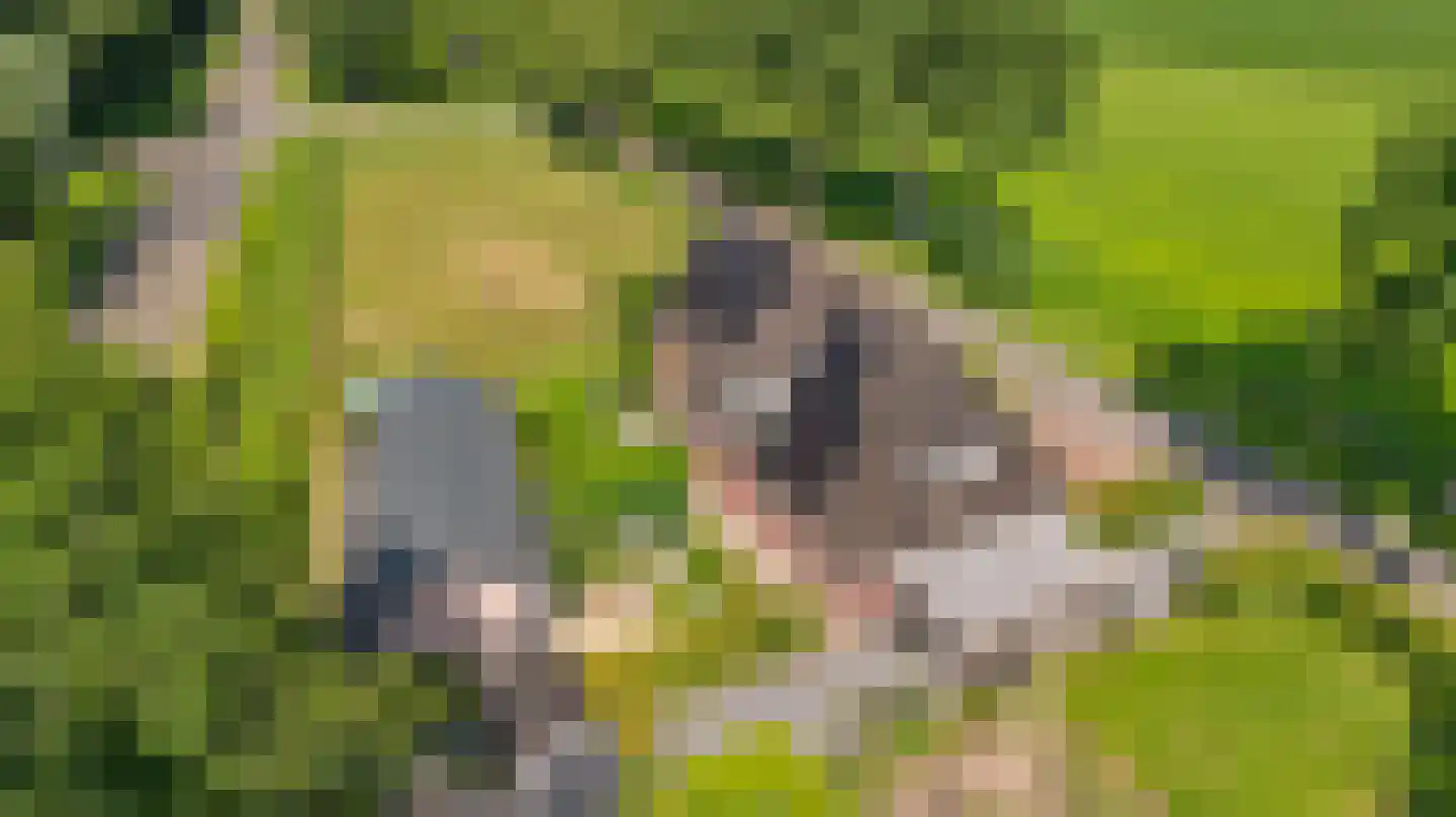 Lageweg 2 Marum thumbnail 10