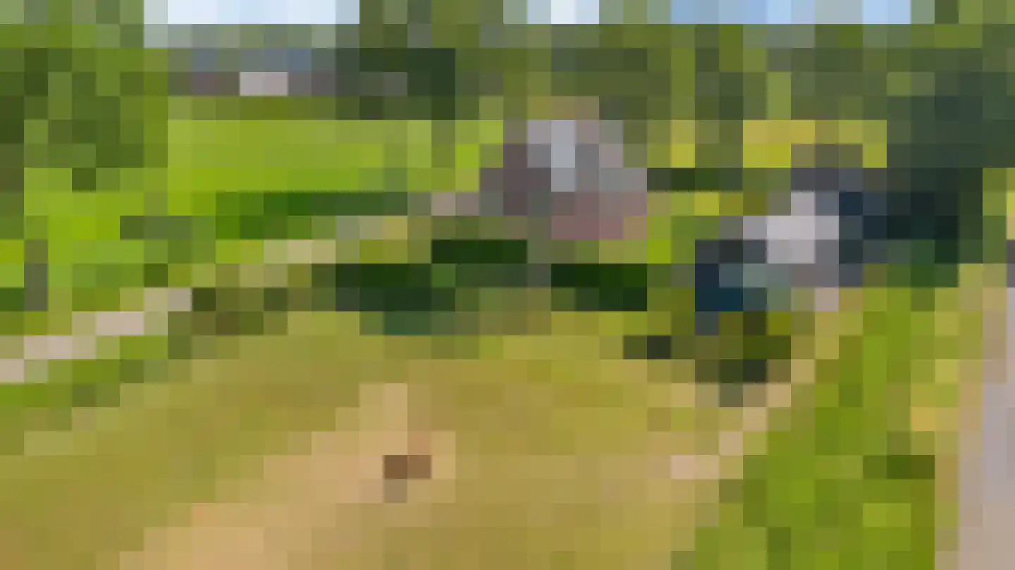 Lageweg 2 Marum thumbnail 4
