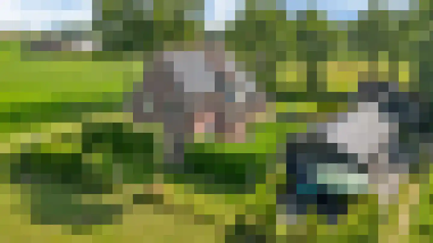 Lageweg 2 Marum thumbnail 5