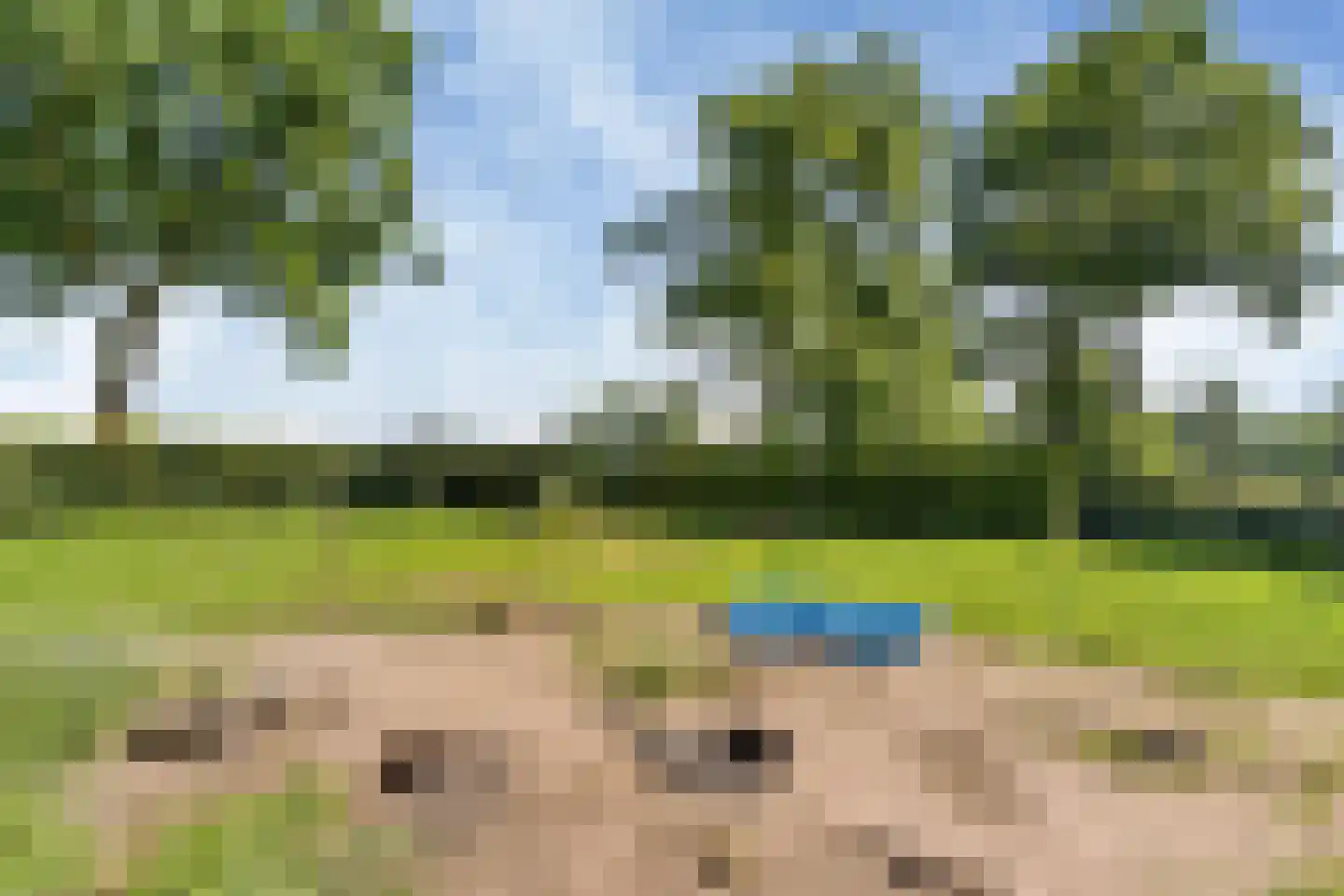 Lageweg 2 Marum thumbnail 52