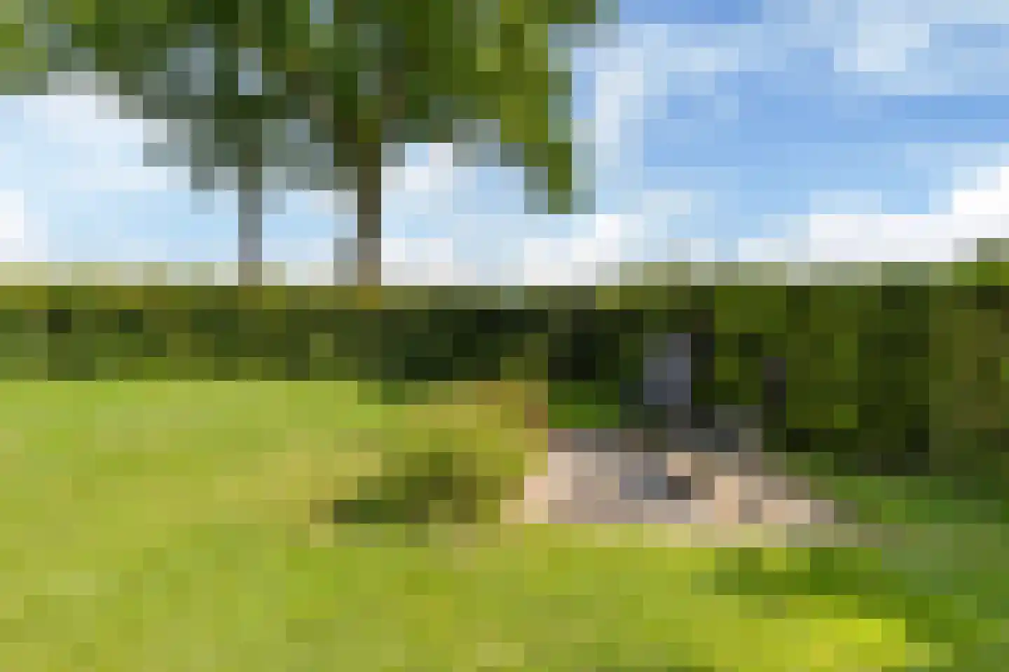Lageweg 2 Marum thumbnail 57