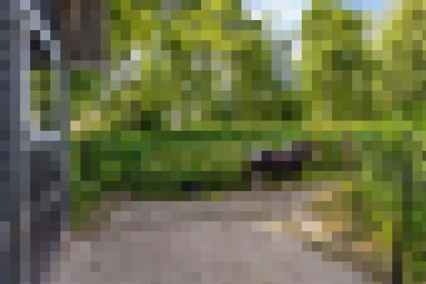 Lageweg 2 Marum thumbnail 58