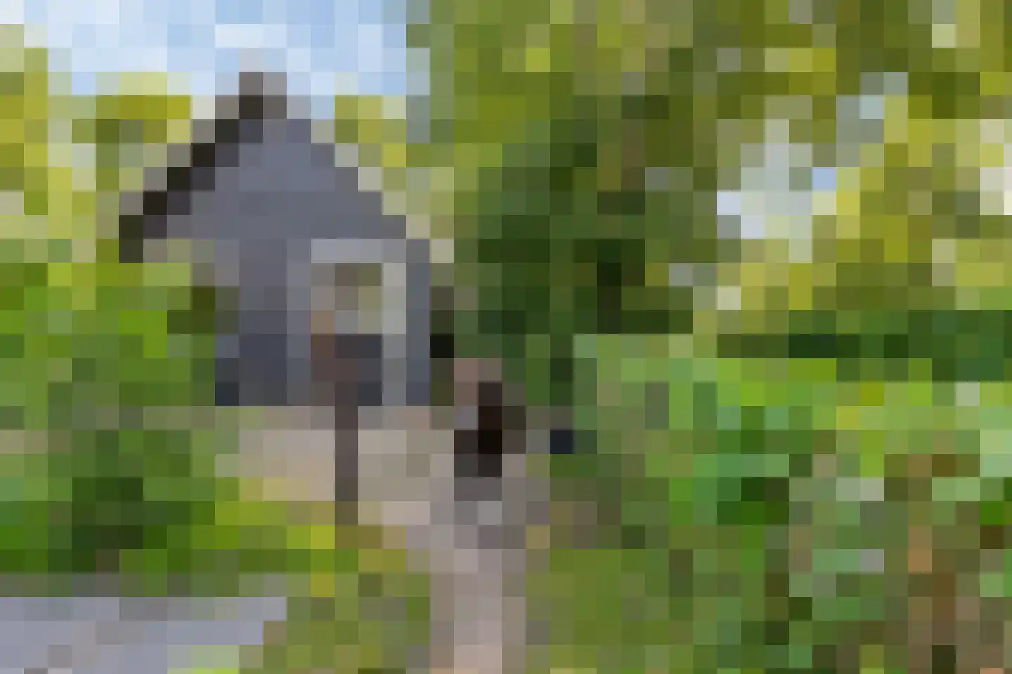 Lageweg 2 Marum thumbnail 59