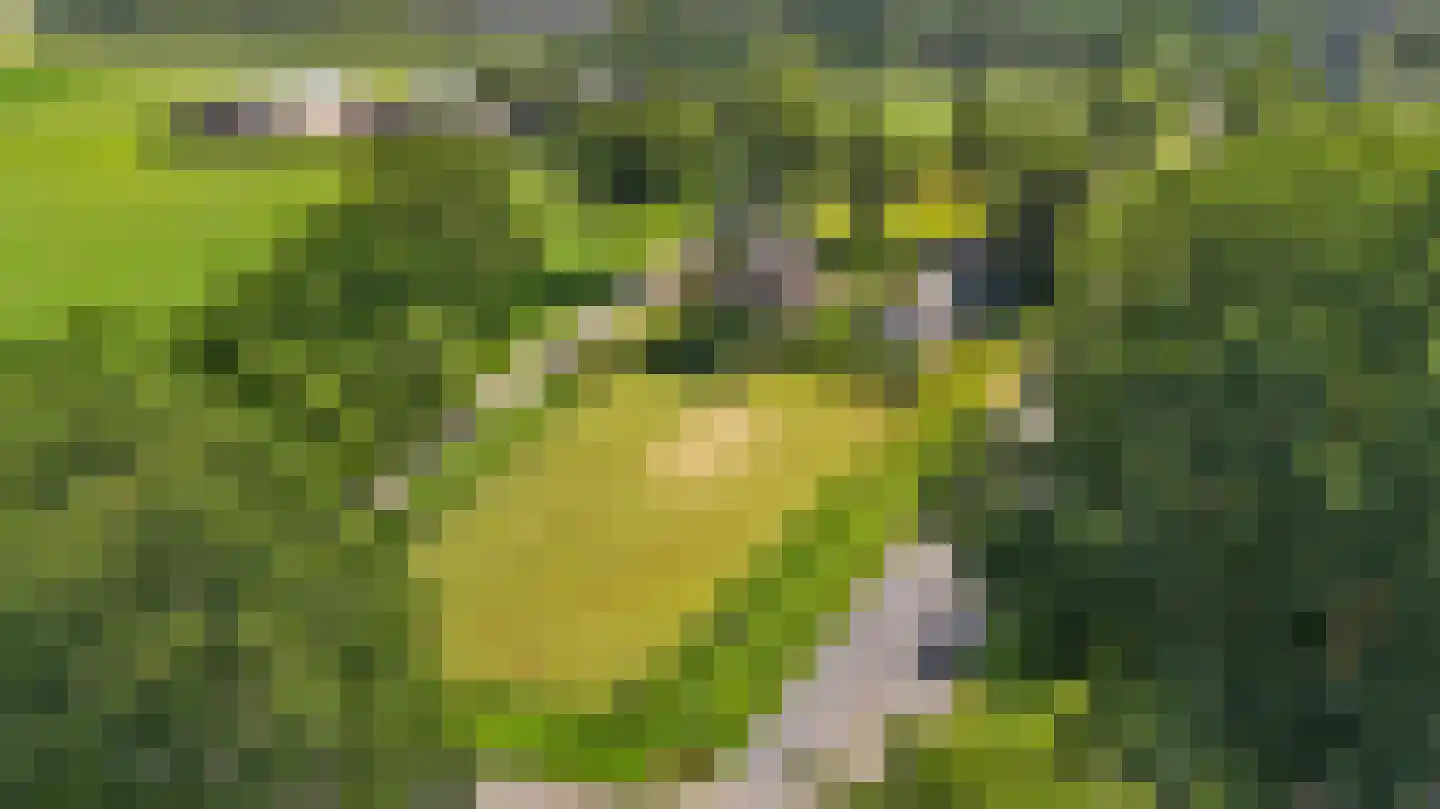 Lageweg 2 Marum thumbnail 6