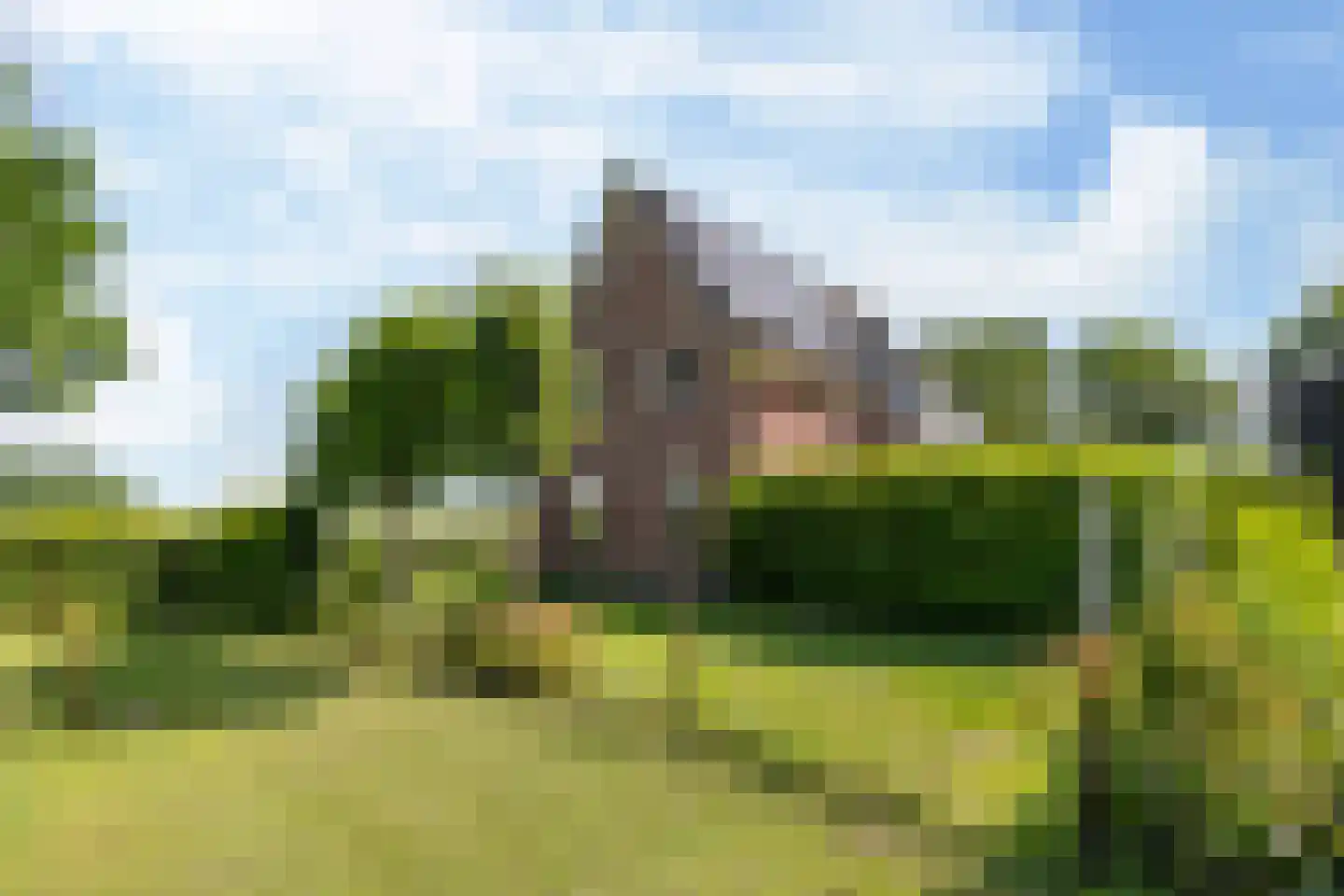 Lageweg 2 Marum thumbnail 61