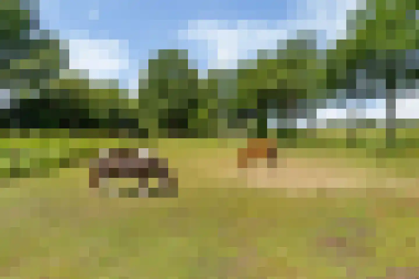 Lageweg 2 Marum thumbnail 62