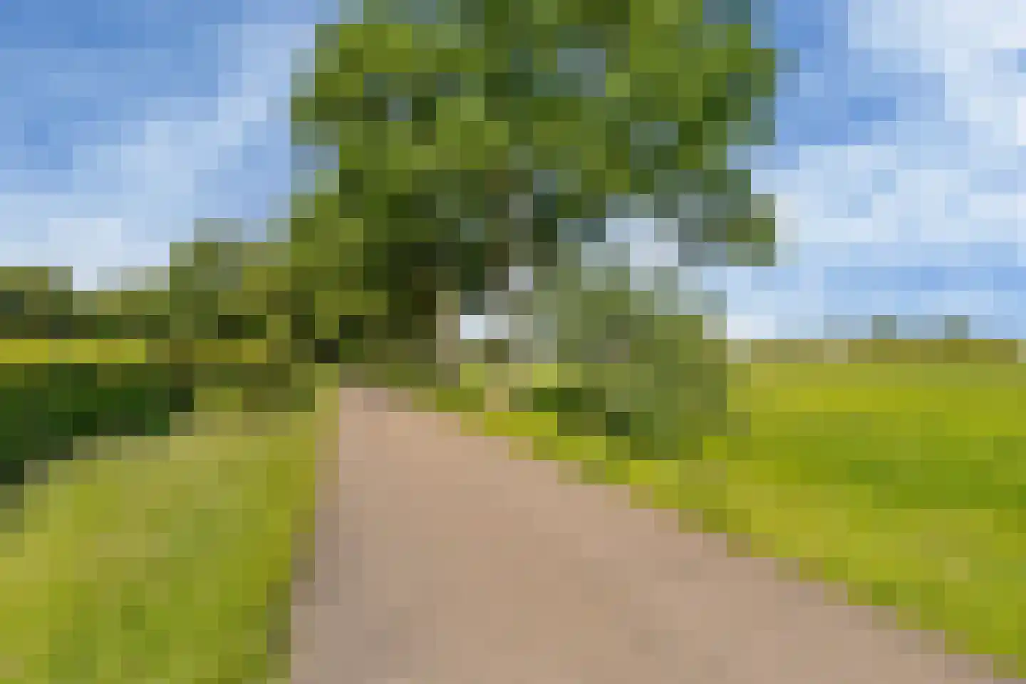 Lageweg 2 Marum thumbnail 67