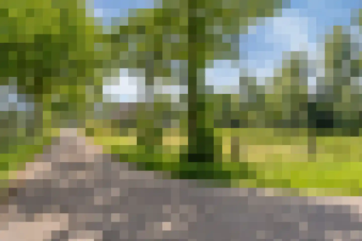 Lageweg 2 Marum thumbnail 68