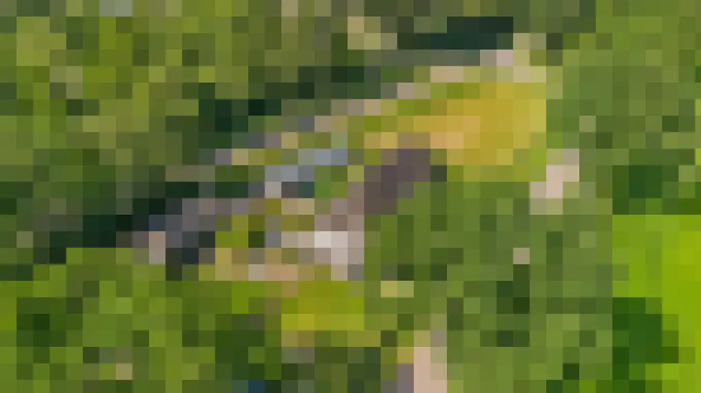 Lageweg 2 Marum thumbnail 8