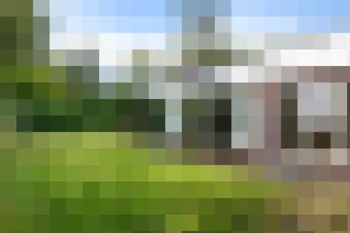 Lageweg 20 Sellingen thumbnail 10