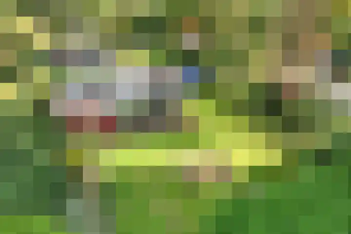 Lageweg 20 Sellingen thumbnail 11