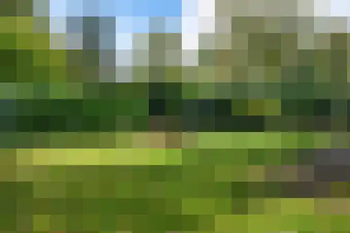 Lageweg 20 Sellingen thumbnail 12
