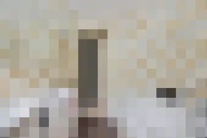 Lageweg 20 Sellingen thumbnail 21