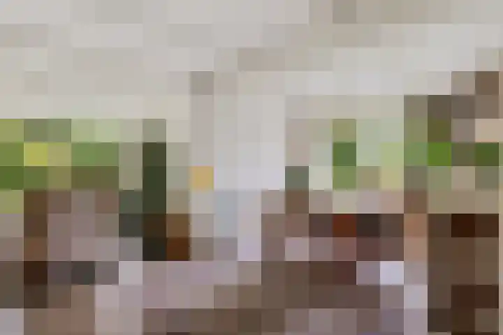 Lageweg 20 Sellingen thumbnail 24