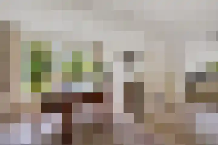 Lageweg 20 Sellingen thumbnail 25