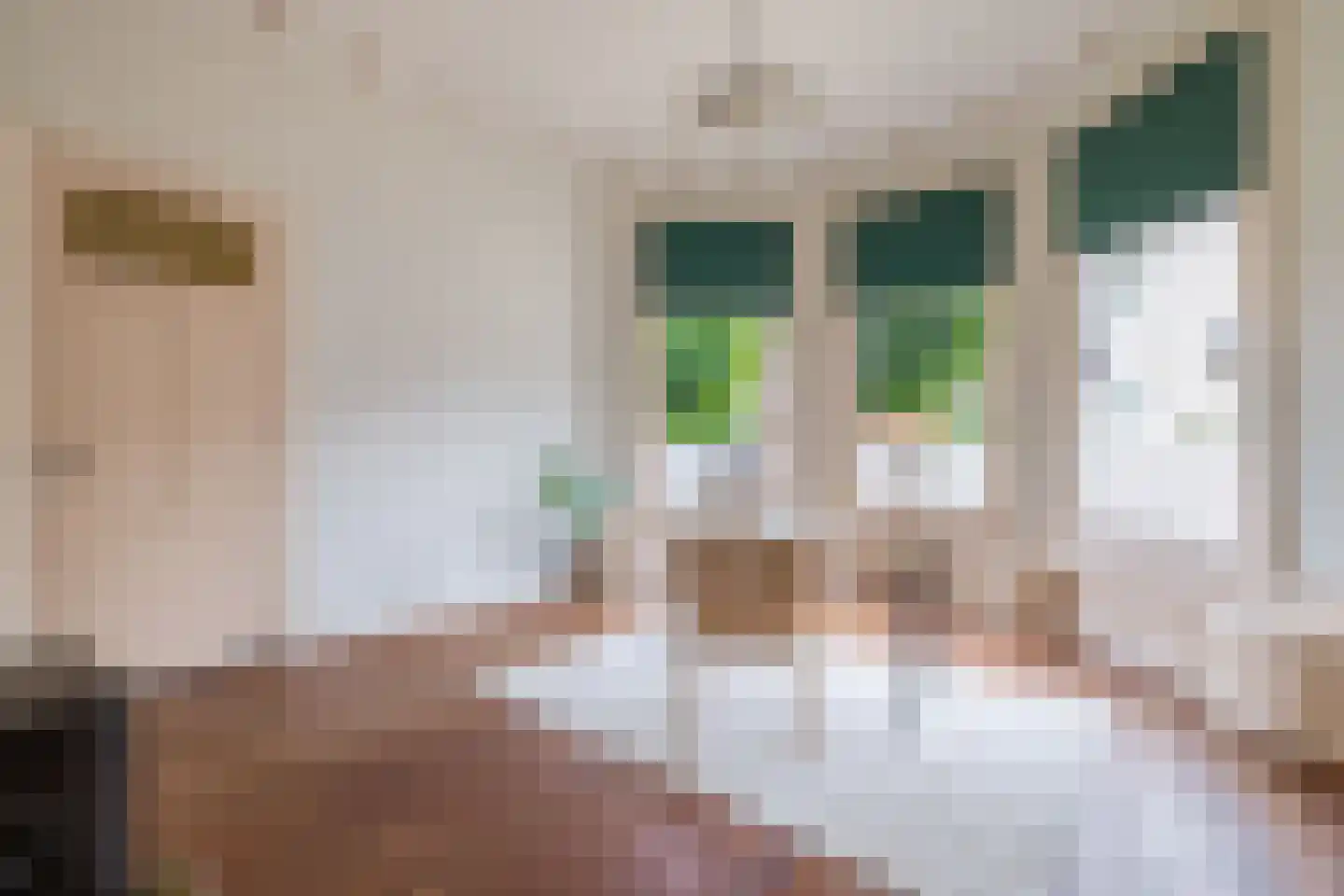 Lageweg 21 Burgum thumbnail 15
