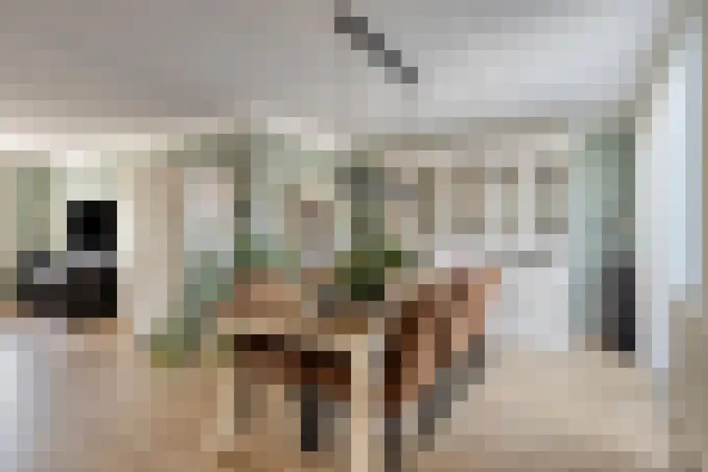 Lageweg 24 Sirjansland thumbnail 10
