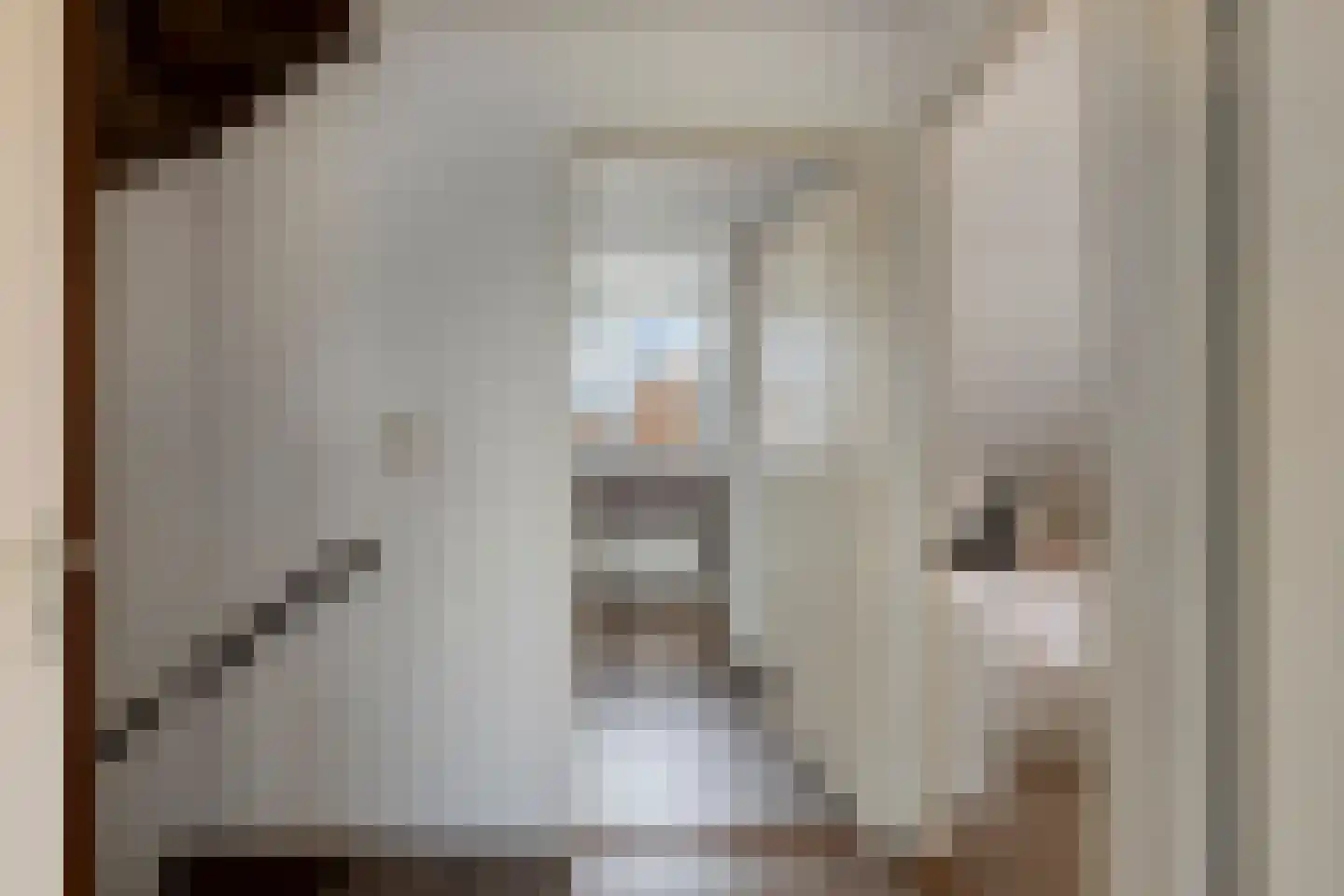 Lageweg 24 Sirjansland thumbnail 21