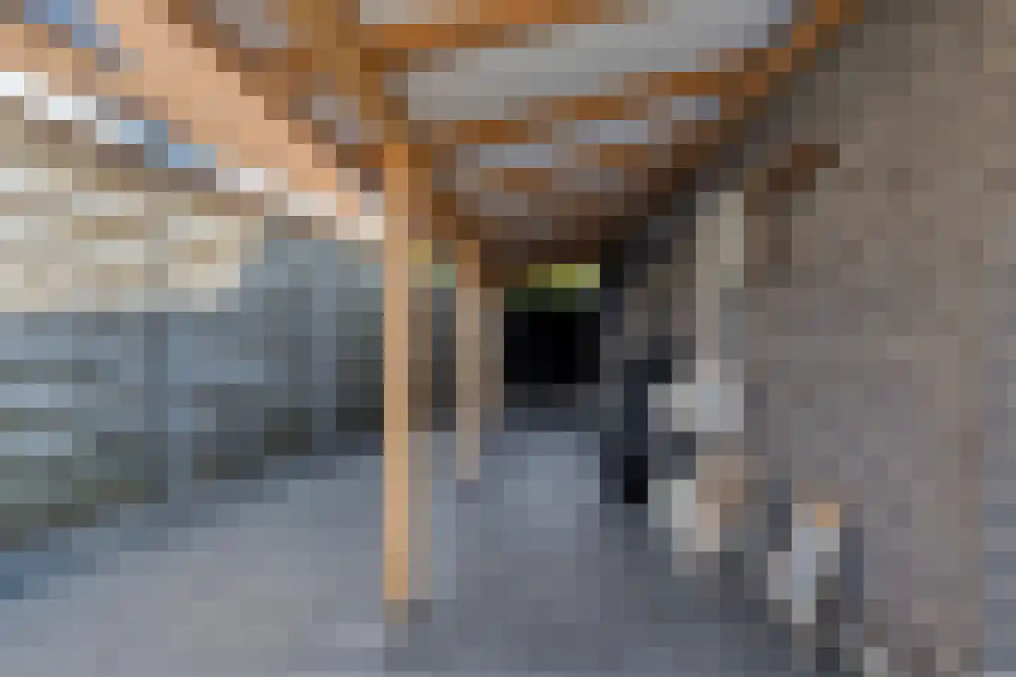Lageweg 24 Sirjansland thumbnail 38