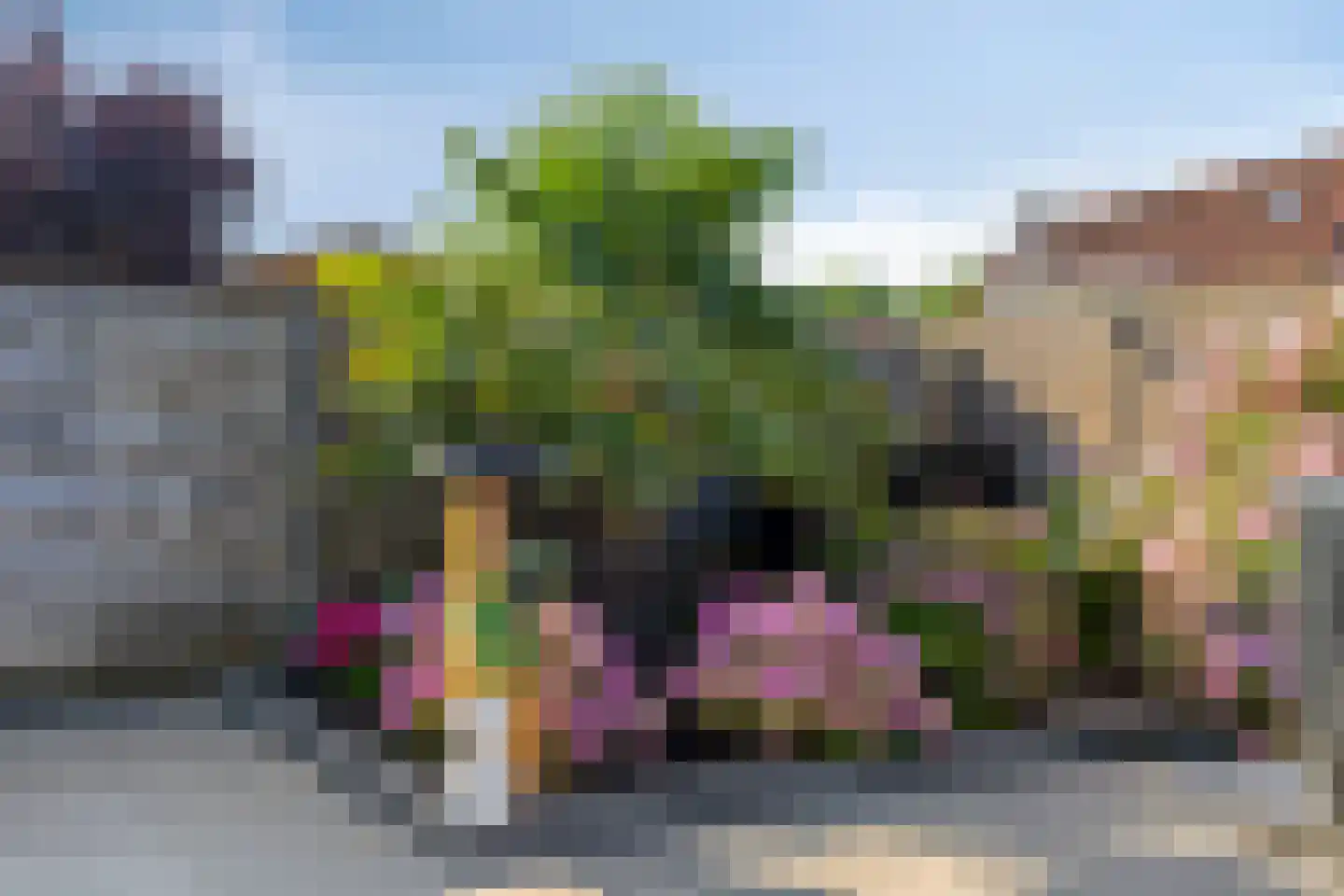 Lageweg 24 Sirjansland thumbnail 39