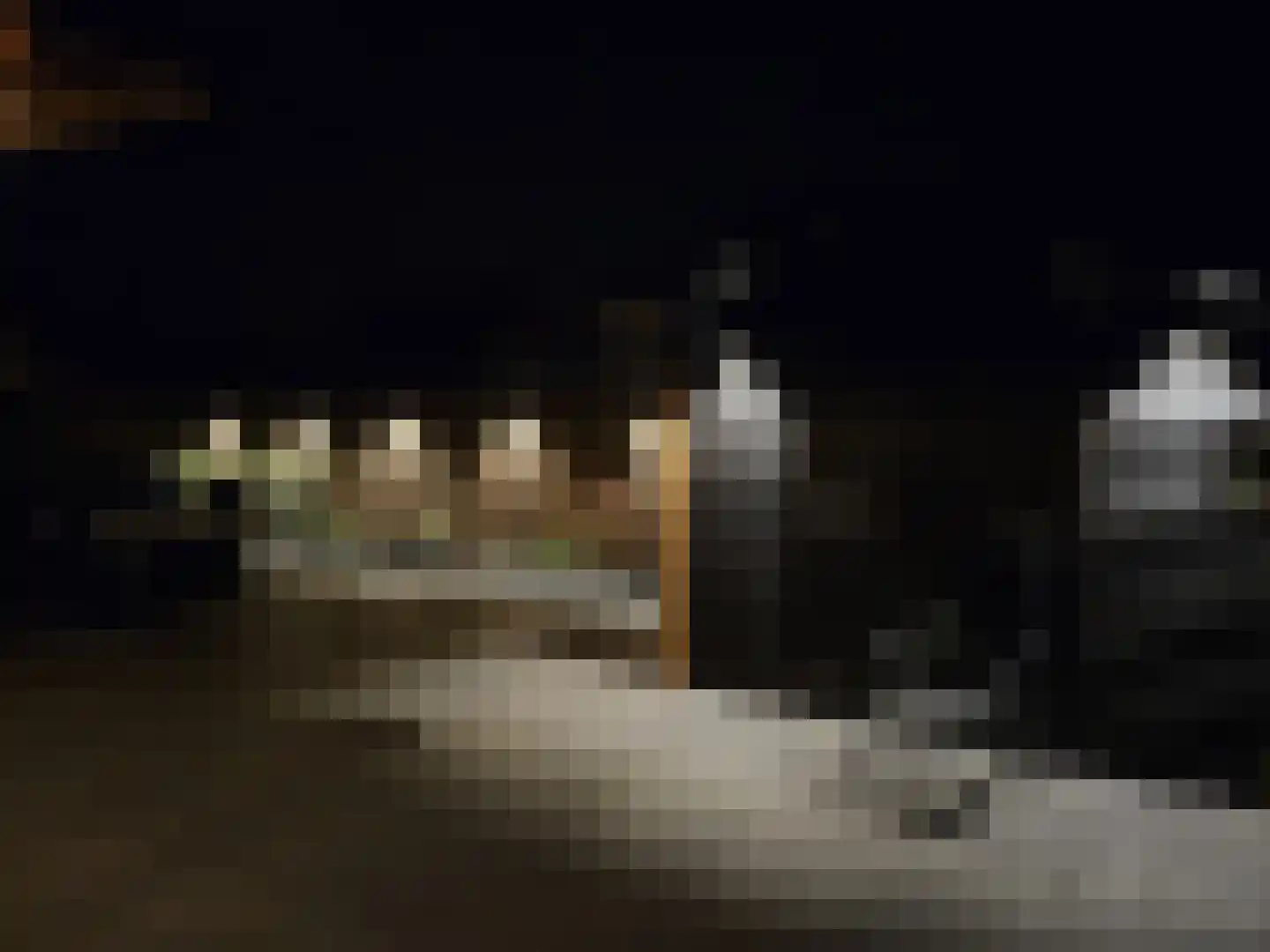 Lageweg 24 Sirjansland thumbnail 41