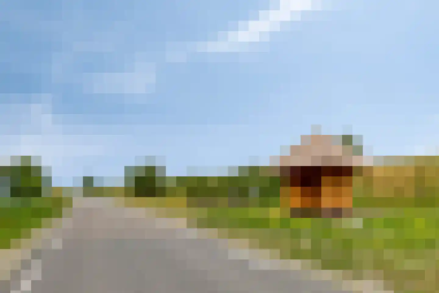 Lageweg 24 Sirjansland thumbnail 43
