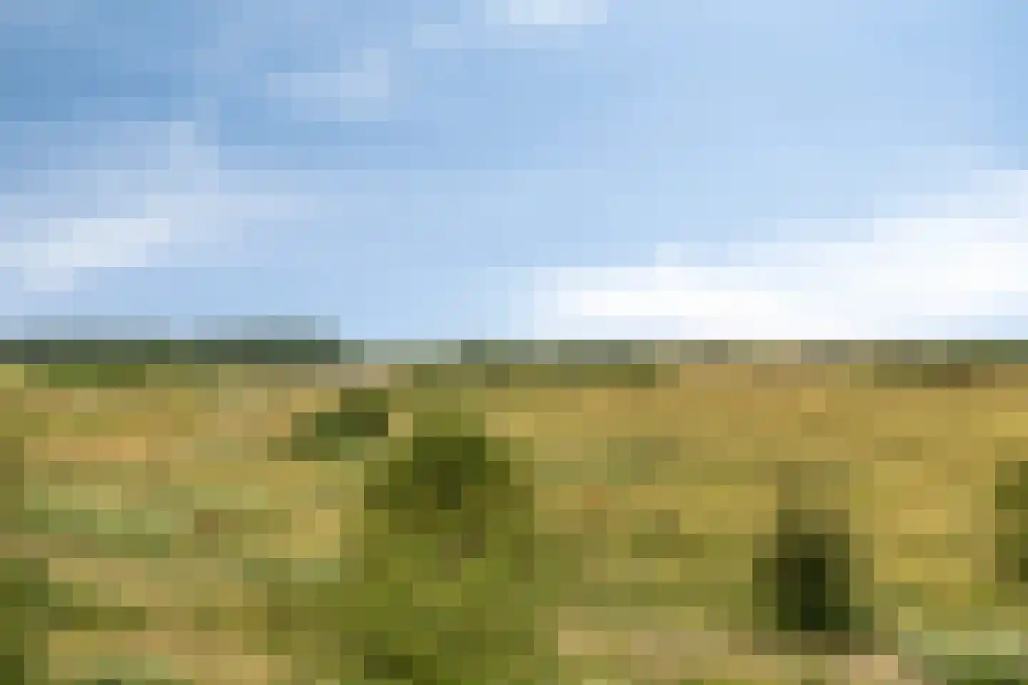 Lageweg 24 Sirjansland thumbnail 44