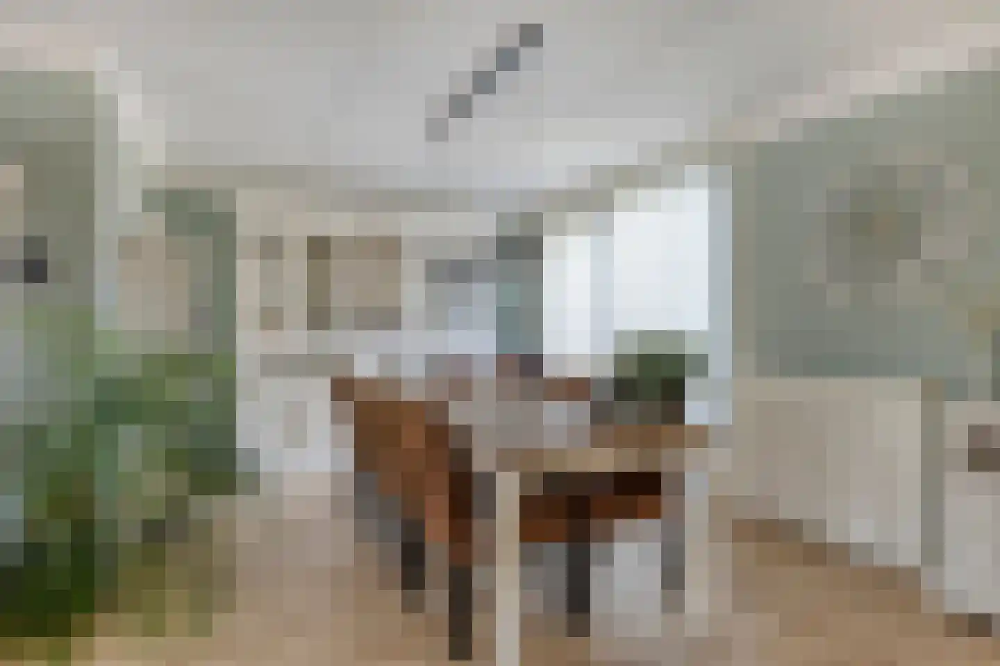 Lageweg 24 Sirjansland thumbnail 9