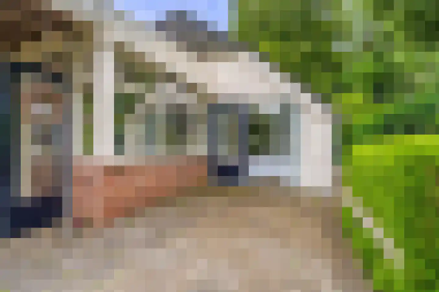 Lageweg 24 Wedde thumbnail 11