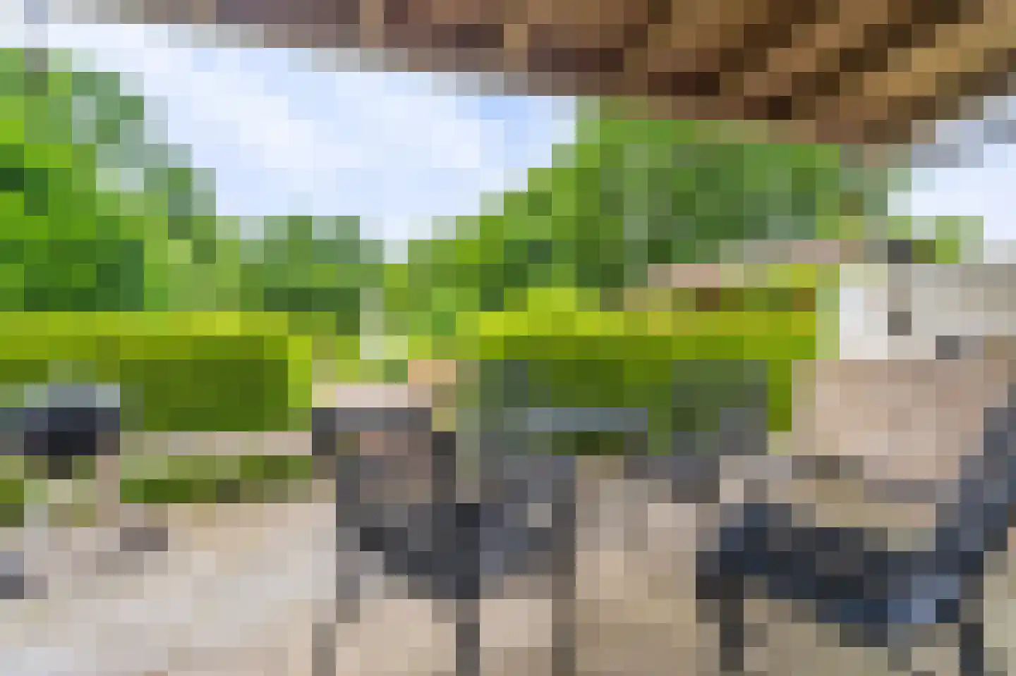 Lageweg 24 Wedde thumbnail 12