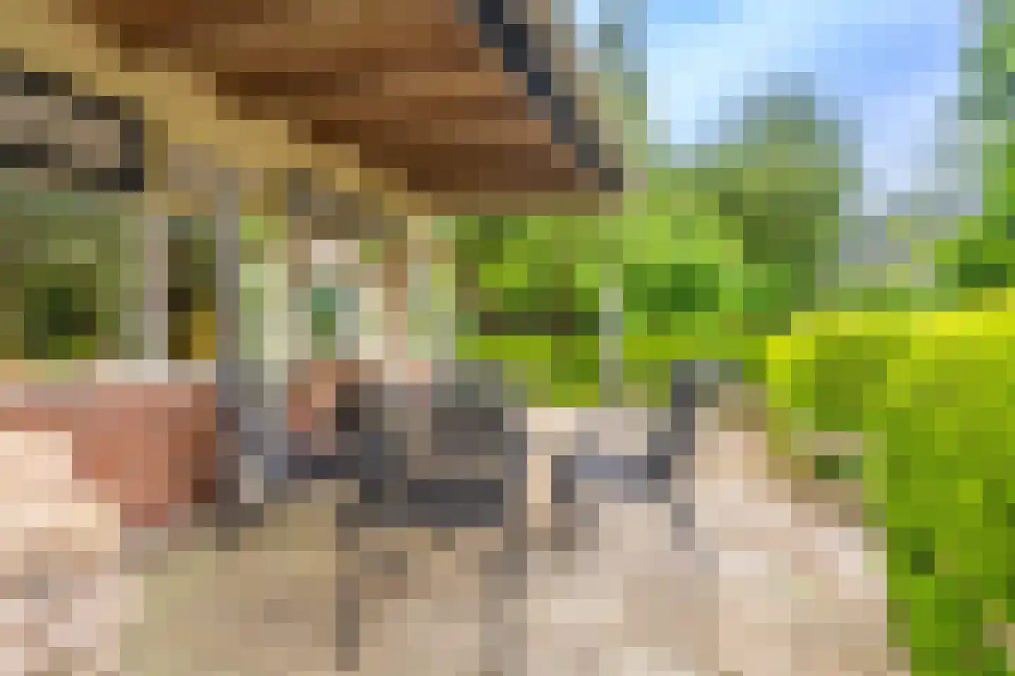 Lageweg 24 Wedde thumbnail 13