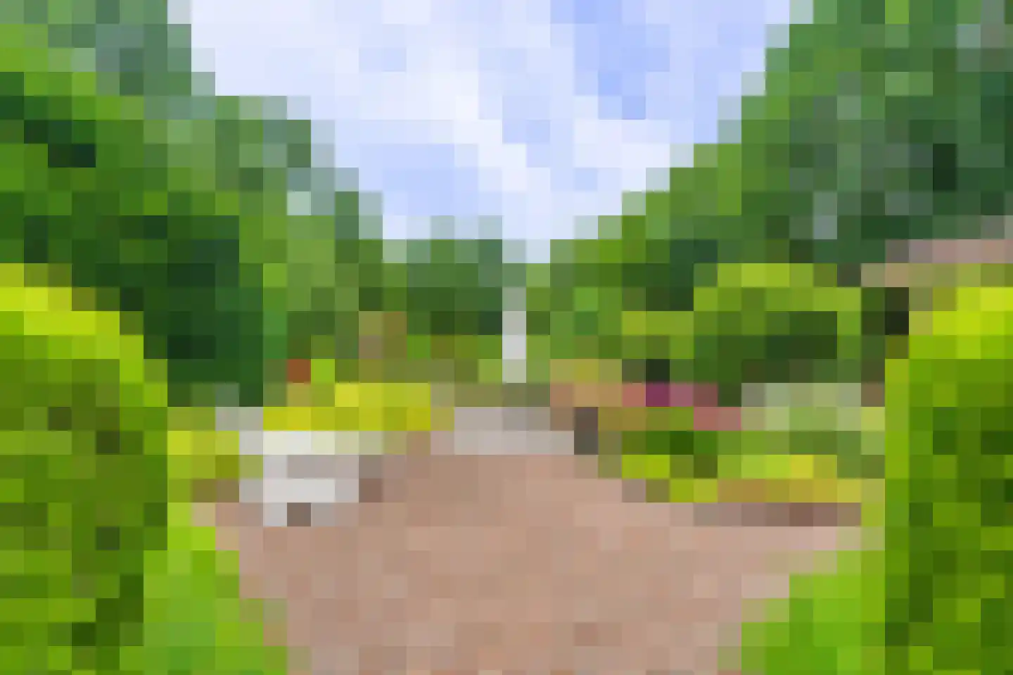 Lageweg 24 Wedde thumbnail 14