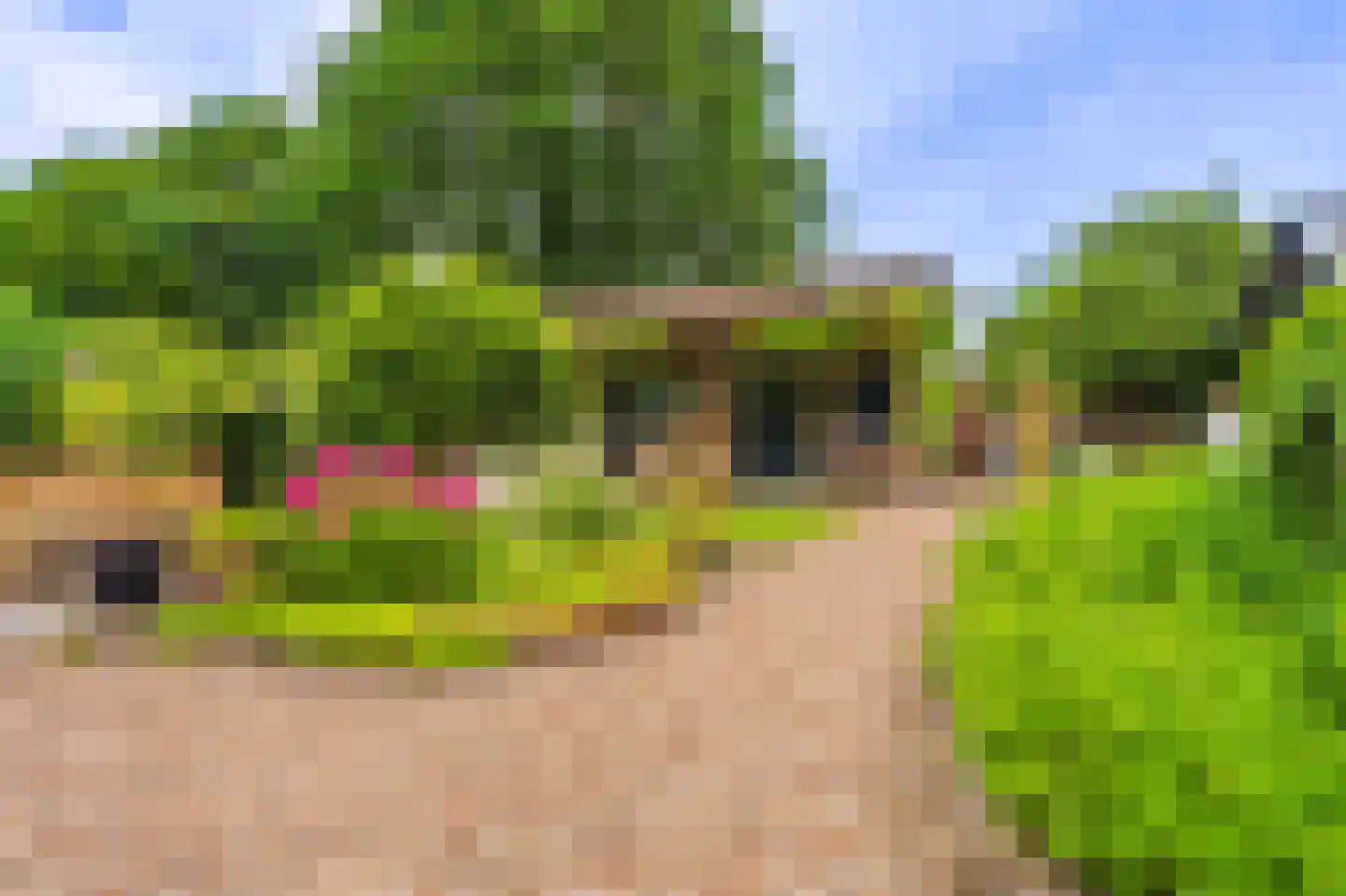 Lageweg 24 Wedde thumbnail 15