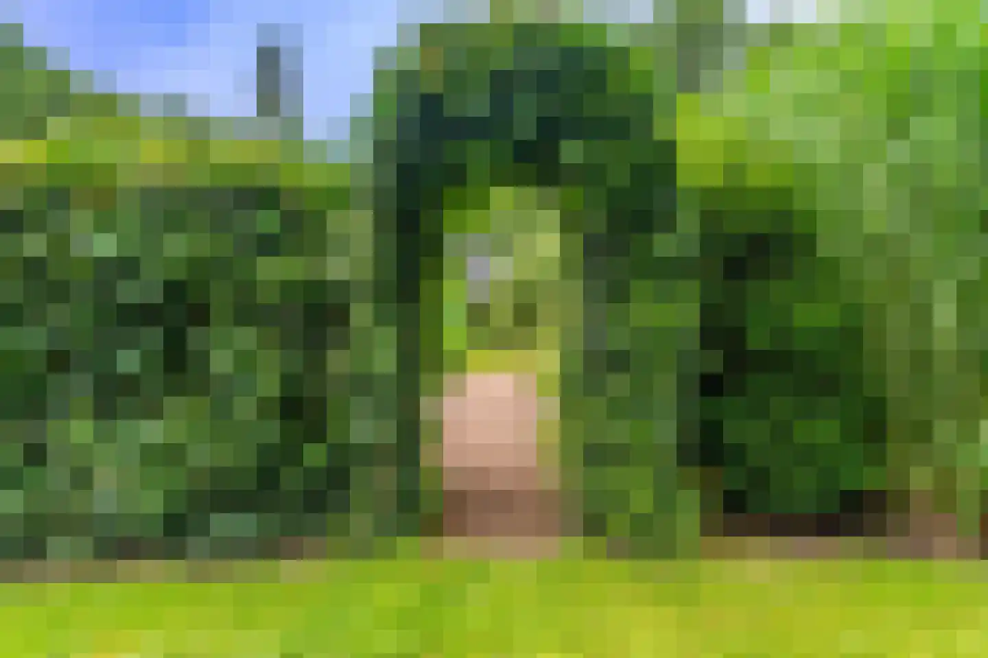 Lageweg 24 Wedde thumbnail 18