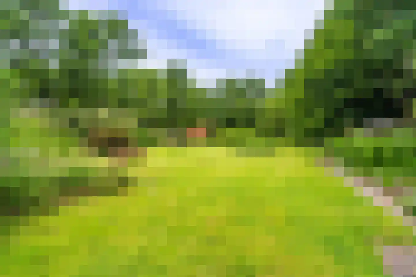 Lageweg 24 Wedde thumbnail 19