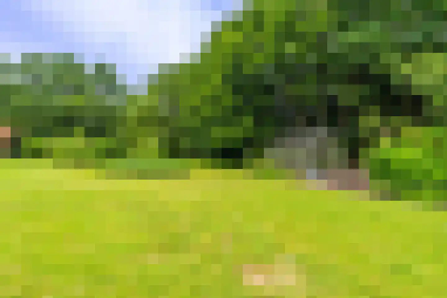 Lageweg 24 Wedde thumbnail 20