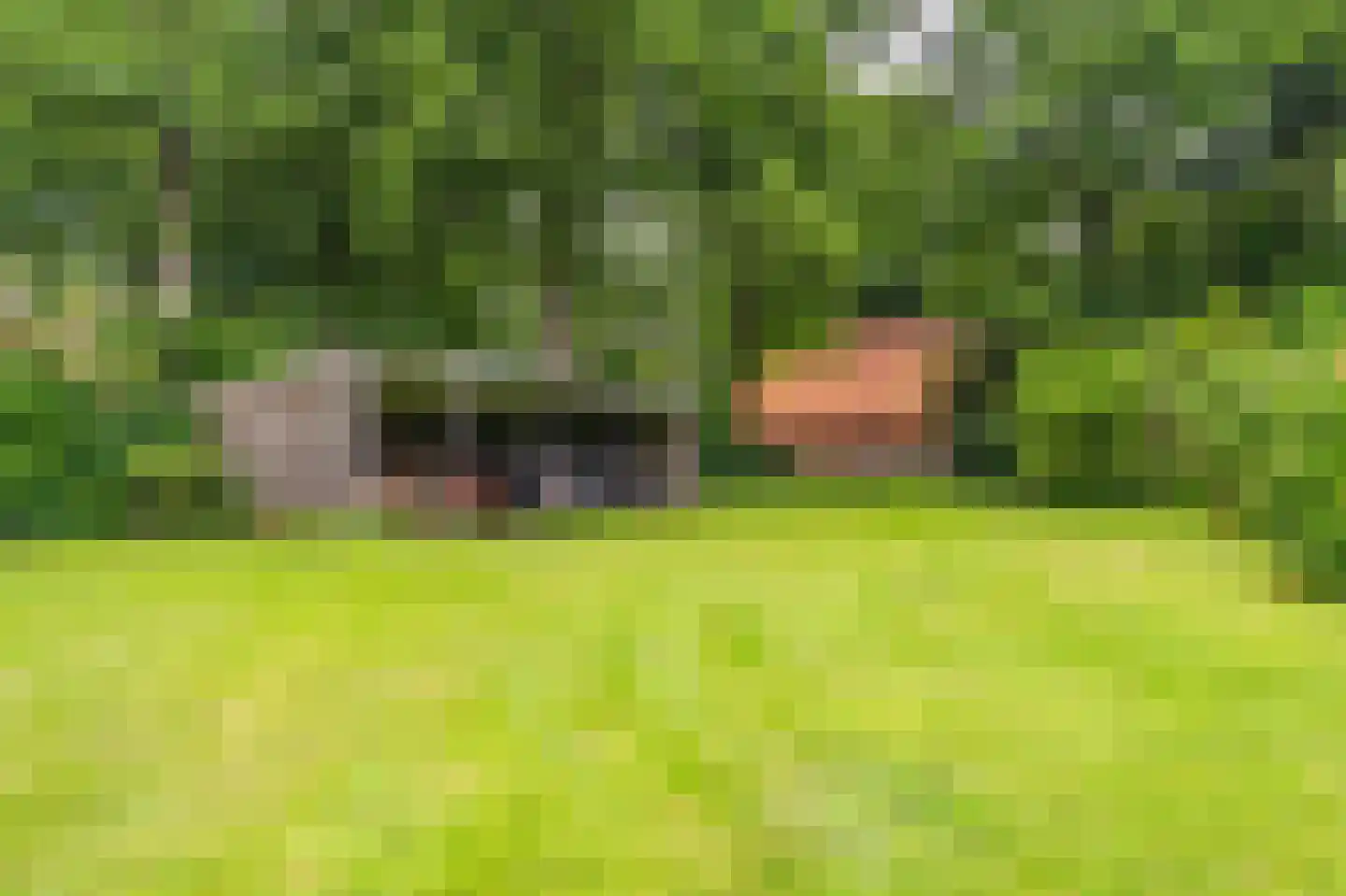 Lageweg 24 Wedde thumbnail 21