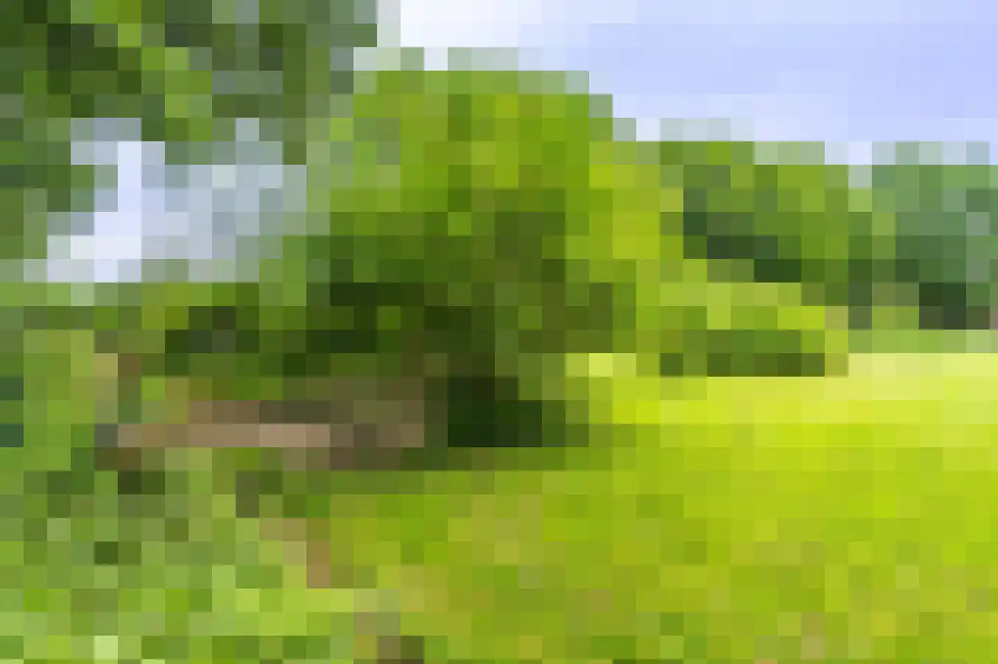 Lageweg 24 Wedde thumbnail 22