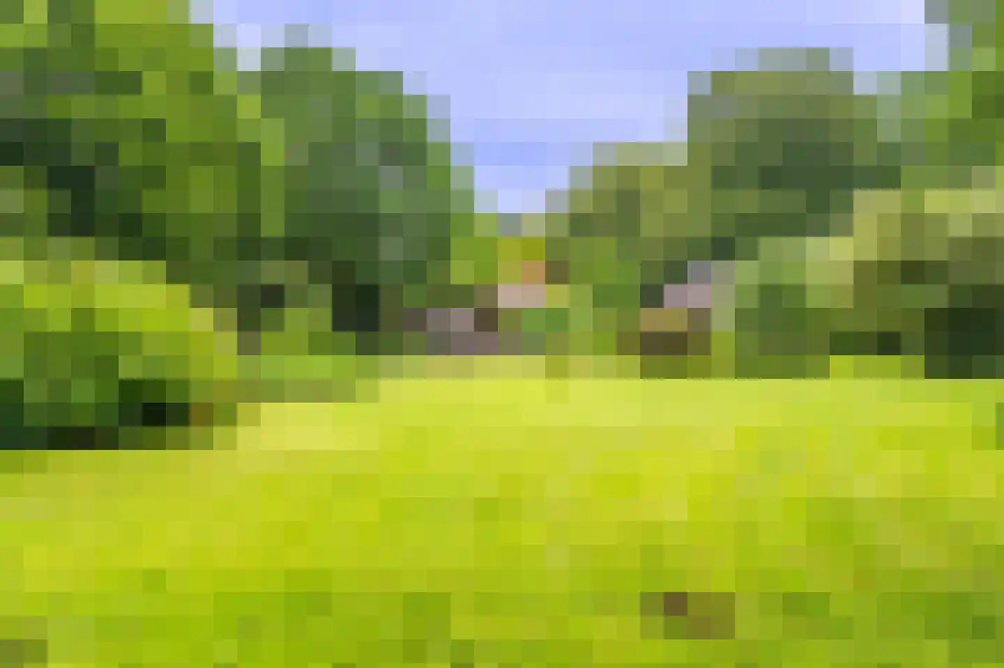 Lageweg 24 Wedde thumbnail 23