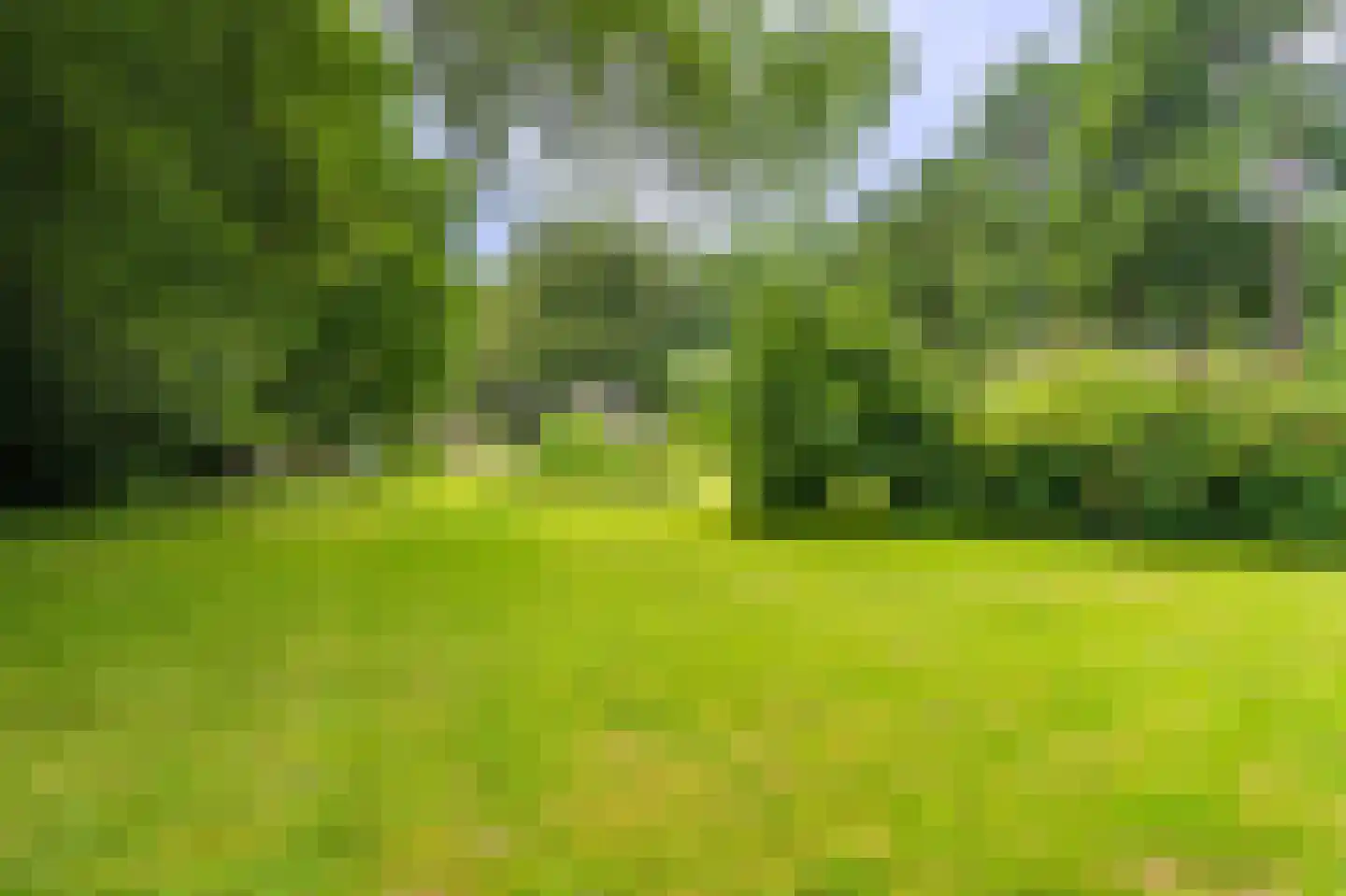 Lageweg 24 Wedde thumbnail 24