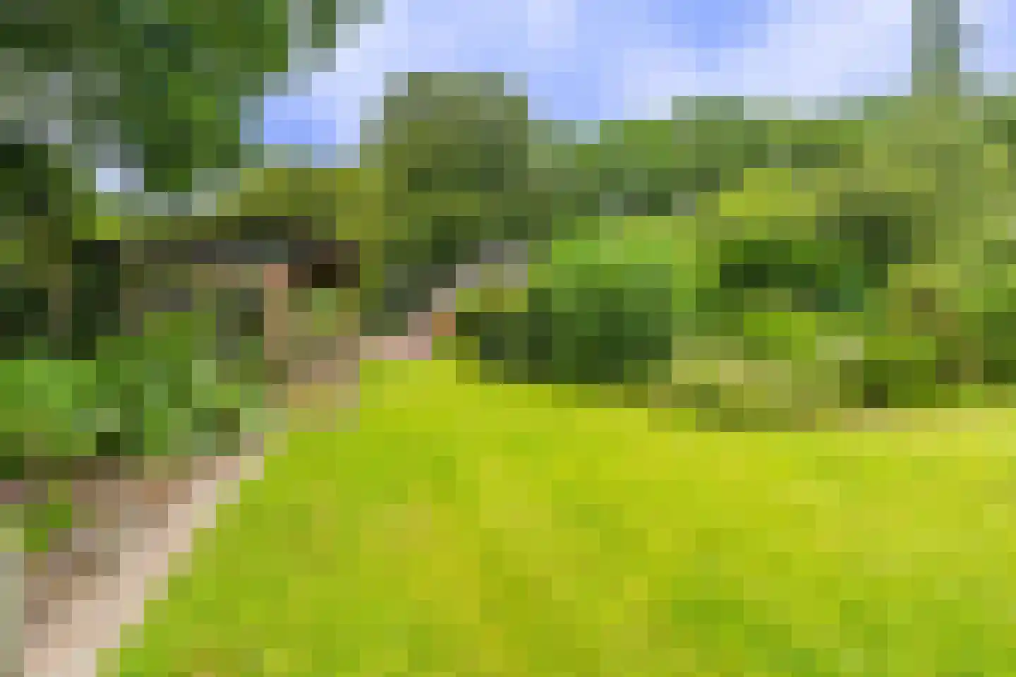 Lageweg 24 Wedde thumbnail 25