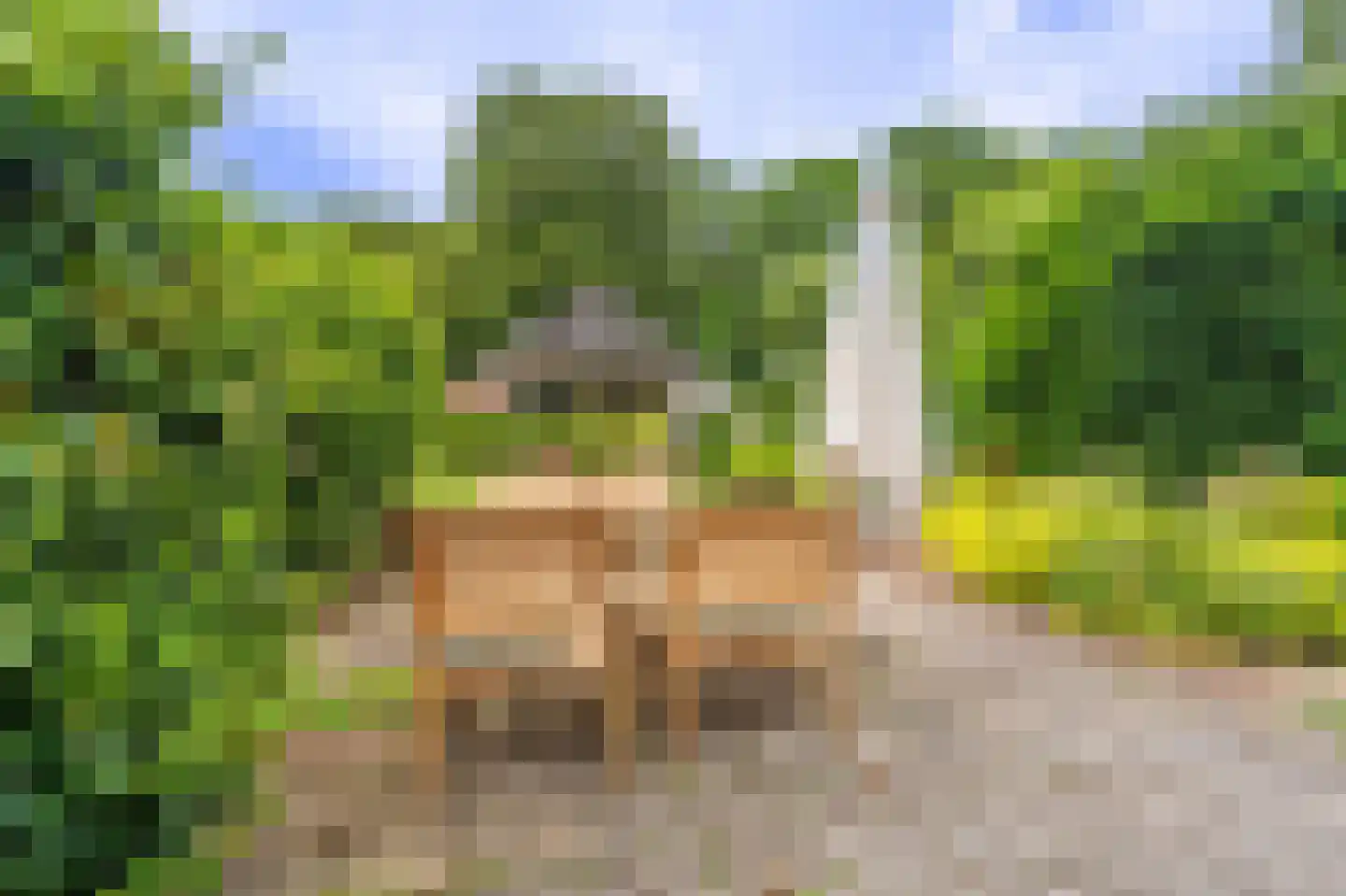 Lageweg 24 Wedde thumbnail 27