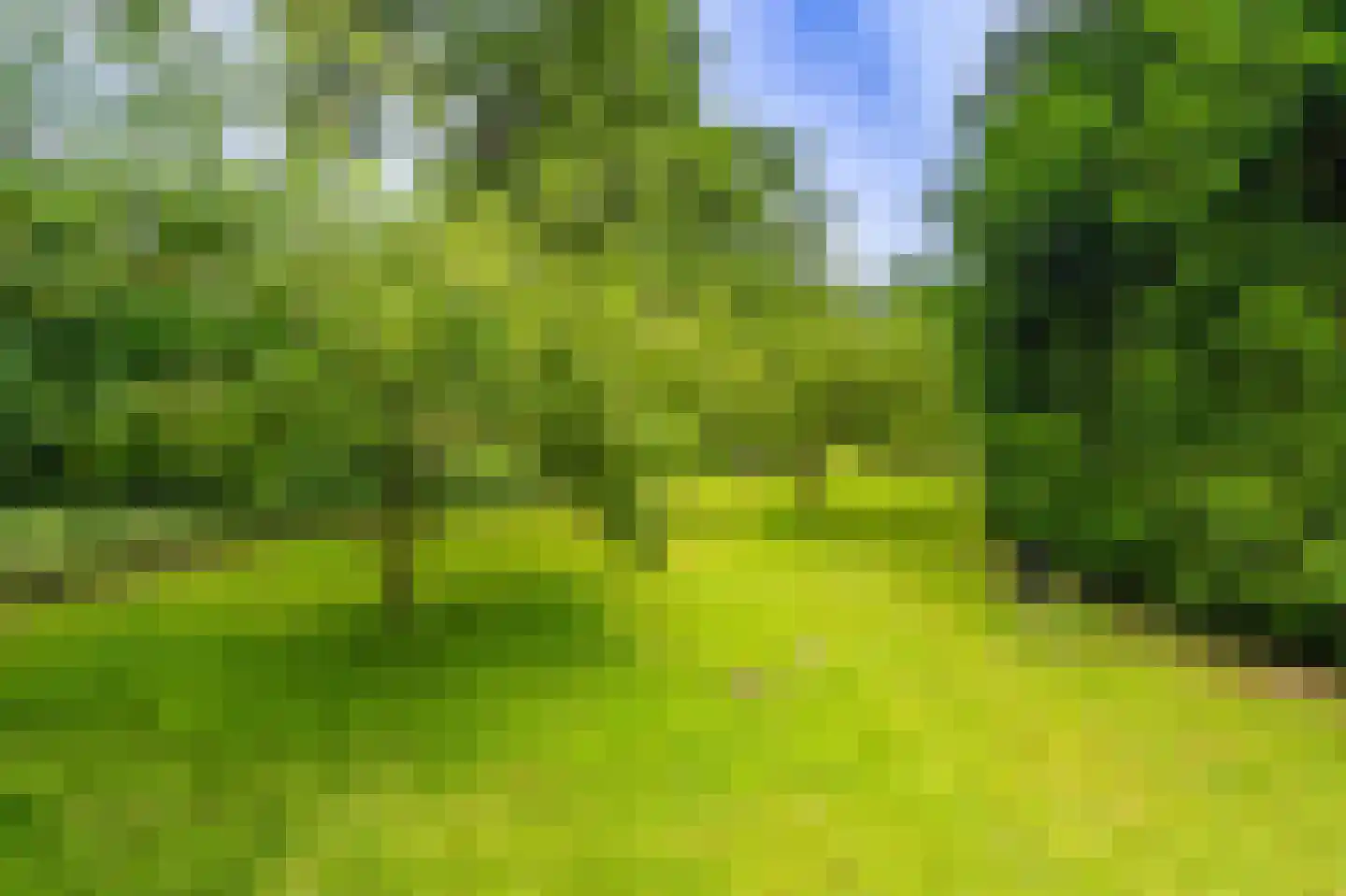 Lageweg 24 Wedde thumbnail 28