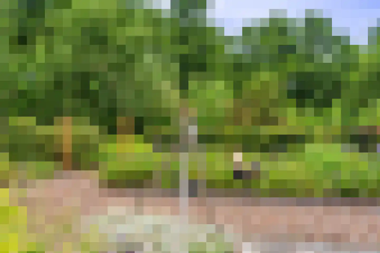 Lageweg 24 Wedde thumbnail 29